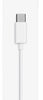 Écouteurs filaires USB-C — Blanc